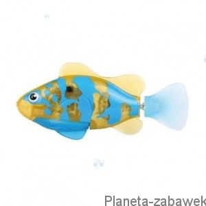 ROBO FISH RYBKA TROPIKALNA Bicolor Angelfish 2549