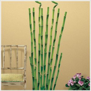 Bambus - Naklejki naścienne wielokrotnego użytku